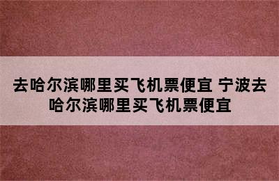 去哈尔滨哪里买飞机票便宜 宁波去哈尔滨哪里买飞机票便宜